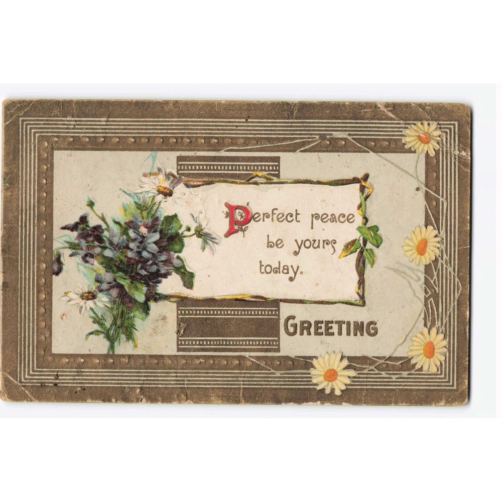 Vintage 1910 Postcard Perfect Peace Floral Violets Daisies Paola Kansas P.C. 204